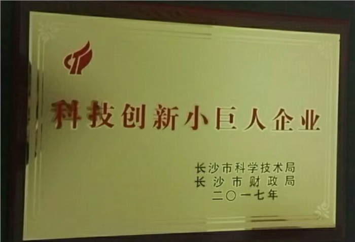 亚美在线（中国）有限公司官网智能荣获科技创新小巨人企业